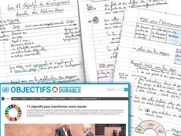 Les 17 Objectifs de développement durable